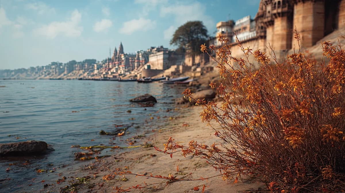 Varanasi ghats along the riverfront — OCI cancellation under section 7D, the five grounds